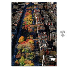 Load image into Gallery viewer, 500 piece jigsaw puzzle: Fall in Boston