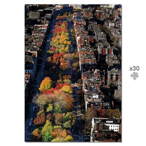 500 piece jigsaw puzzle: Fall in Boston